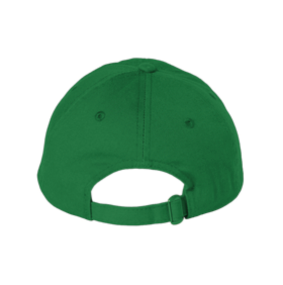 Will Clean Teeth For C Bio-Washed Dad Hat- Green