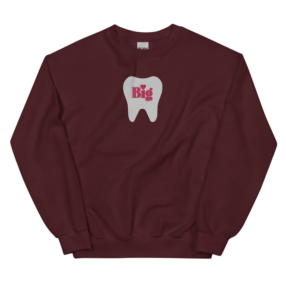 ”Big” Full Tooth Embroidered Sweatshirt- Pink Design