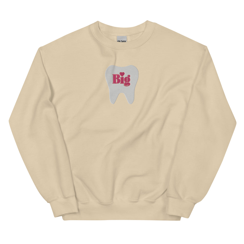 ”Big” Full Tooth Embroidered Sweatshirt- Pink Design