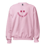 Dental Doll Happy Tooth Smile Sweatshirt Pink Embroidery